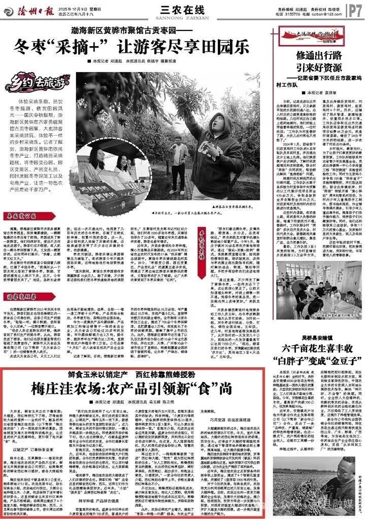 鲜食玉米以销定产 西红柿靠熊蜂授粉 梅庄洼农场：农产品引领新“食”尚