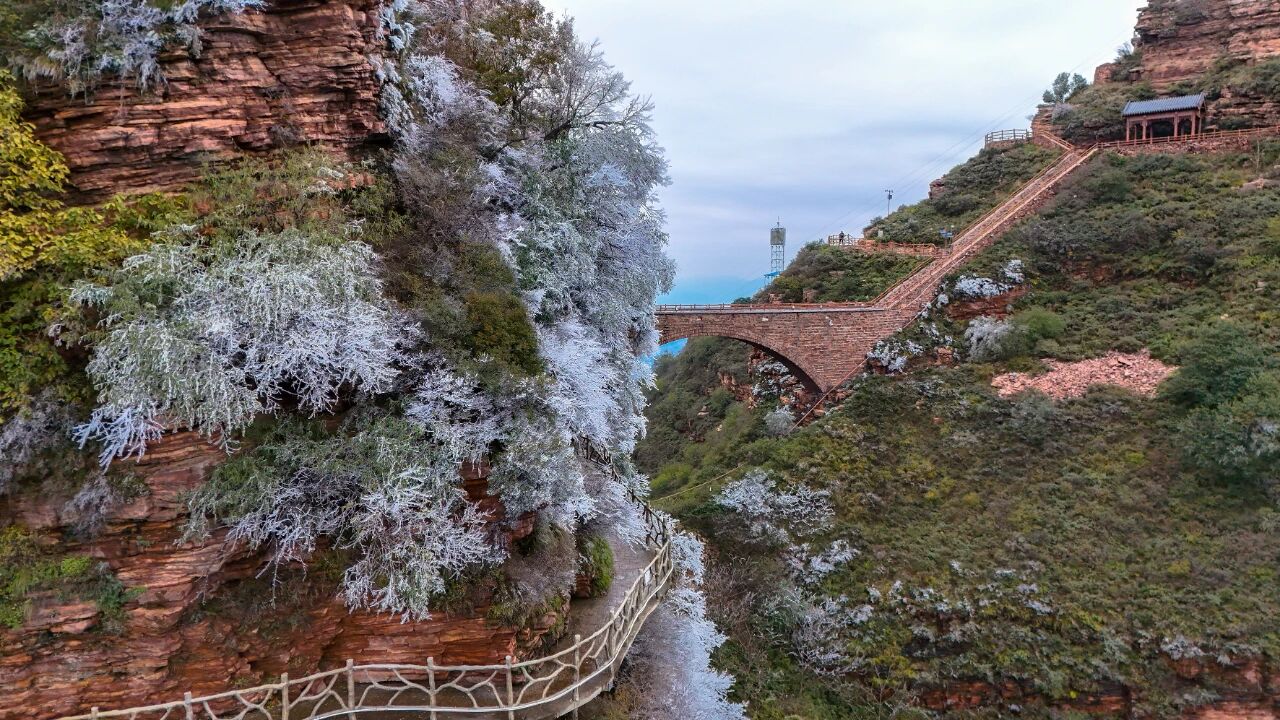 绝美！邯郸这里出现雾凇奇景！