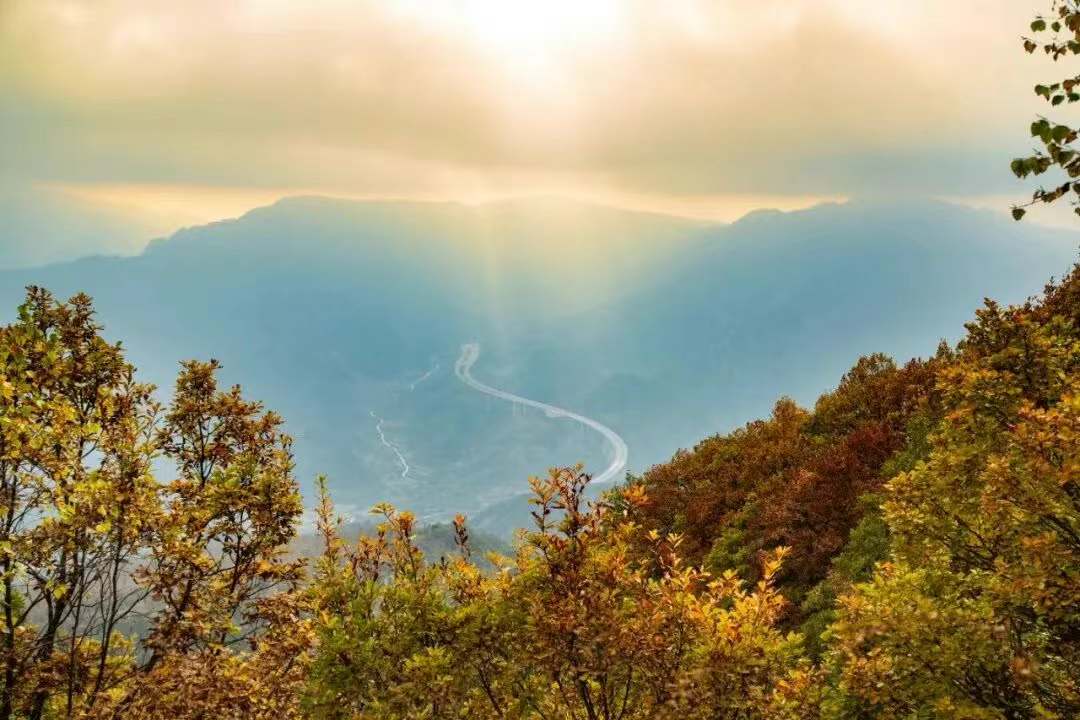 一眼沦陷阜平秋！