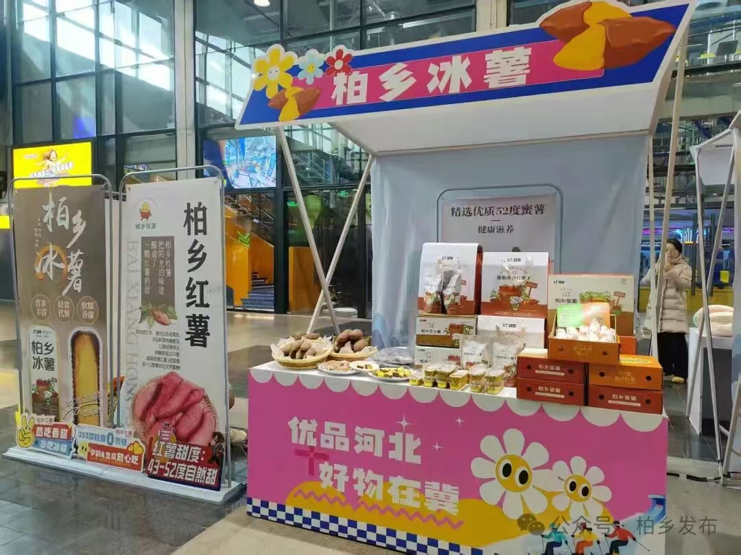 文旅优品“柏乡冰薯”走进石家庄进行推介