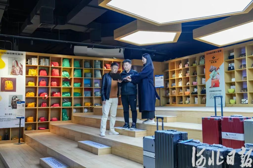 产品设计共享给白沟箱包带来什么？