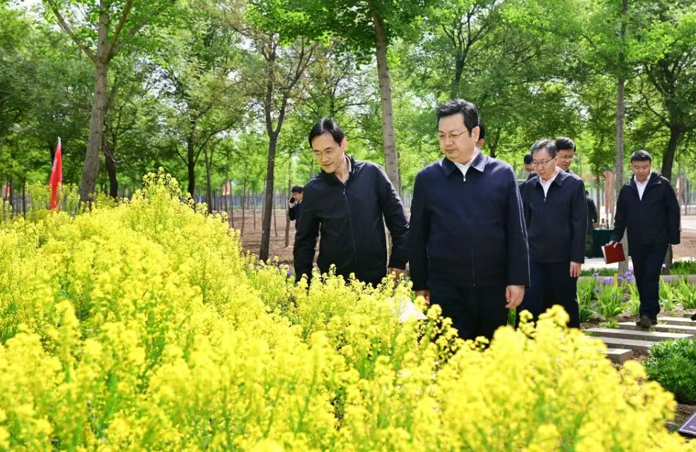 张国华在调研时强调，推动白洋淀旅游、生态资源管护、疏解项目建设和安全生产提质增效